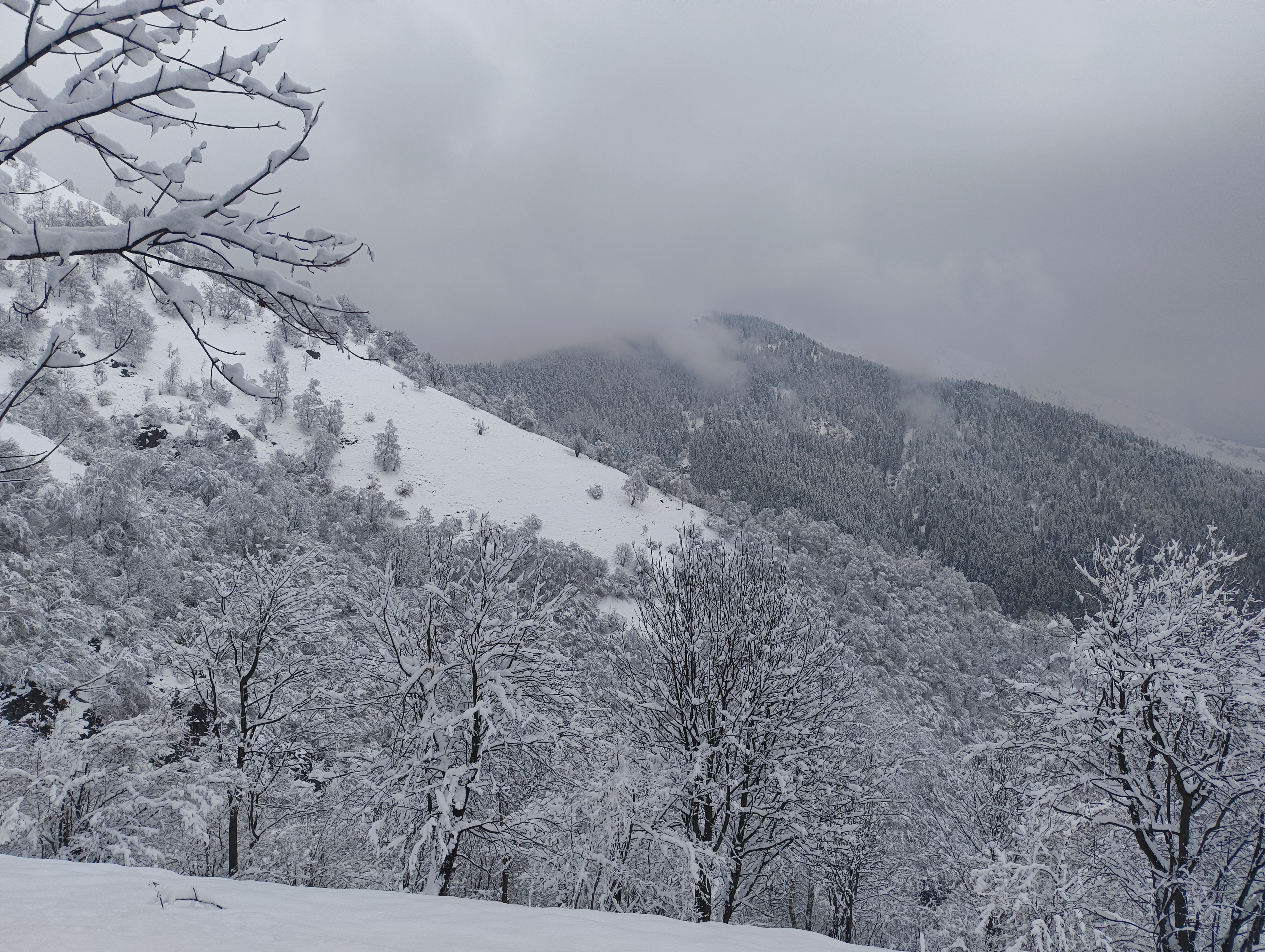 Foto n° 31 del trekking Bivacco del Gufo - Pizzo Pernice │ Alpe Curgei